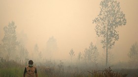 LPSK: Jangan Takut Laporkan Aparat Bekingi Kebakaran Hutan