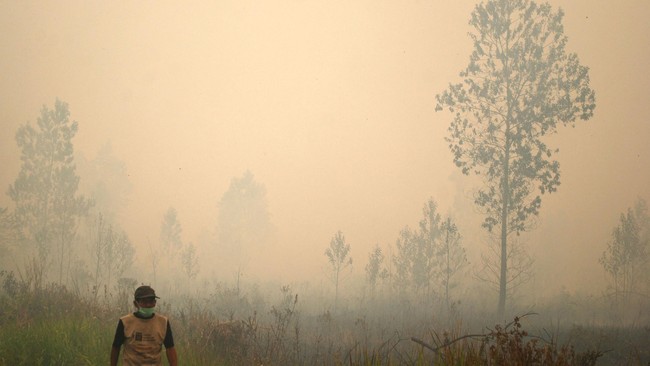 Pelapor memperoleh perlindungan atas keamanan pribadi, keluarga, dan harta bendanya, juga bebas dari ancaman yang berkenaan dengan kesaksian.