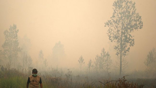 LIPI: Gambut Sebabkan Asap Sulit Dipadamkan Menurut peneliti LIPI, kebakaran ada di lahan gambut dan sengaja dibakar oleh oknum yang tidak bertanggungjawab.