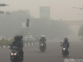 Ada 127 Tersangka Kasus Pembakaran Lahan dan Hutan
