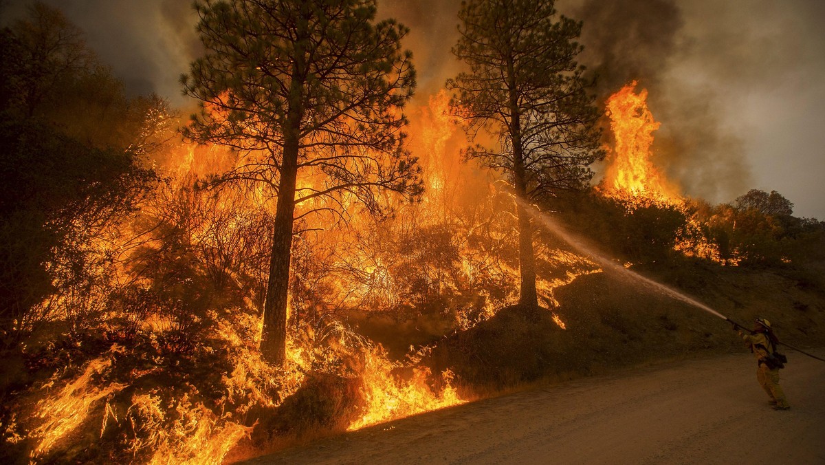Kebakaran Hutan Hanguskan Ratusan Rumah di California