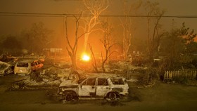 Kebakaran Hutan Sambar Perumahan, Ribuan Warga AS Mengungsi