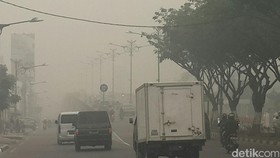 Ratusan Personel Brimob Terjun Cari Pelaku Pembakar Hutan