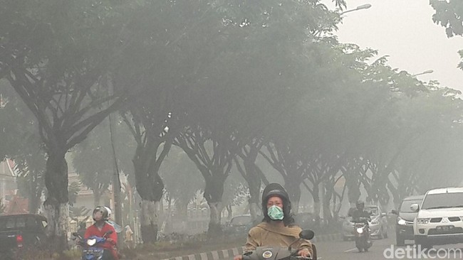 Tim Brimob dari Jakarta ini ditugaskan membantu personel dari kedua wilayah tersebut untuk mempercepat proses hukum atas pelaku pembakar hutan.