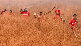 Budaya Sonor, Salah Satu Penyumbang Asap di Sumatra