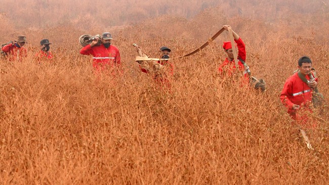 Sebanyak 120 ton garam sudah ditebar di Riau dan 70 ton garam ditebar di Palembang untuk menciptakan hujan buatan di dua daerah tersebut.