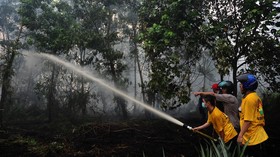 Dukung Sekat Kanal, BPPT Produksi Teknologi untuk Gambut