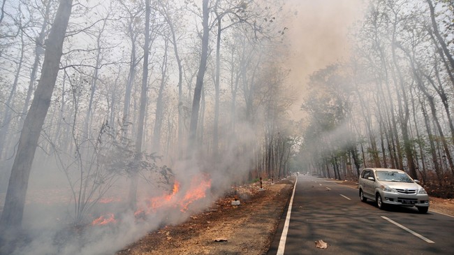 PT BMH resmi menjadi tersangka korporasi dalam kasus dugaan pembakaran hutan. Sementara dua perusahaan lain ditingkatkan statusnya ke tahap penyidikan.