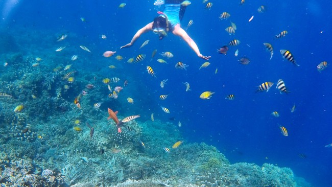 Ada sejumlah pengalaman bawah laut yang unik di seluruh dunia menunggu untuk dinikmati. Beberapa akan menantang adrenalinmu.