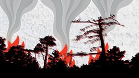 Terkurung Asap Kebakaran Hutan