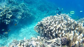 NASA Buat Ekspedisi Bawah Laut Guna Temukan Cara Buru Alien