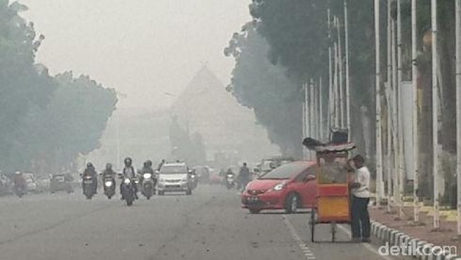 Kesulitan untuk mengevakuasi korban dalam bencana asap, menurut anggota DPD asal Riau, membuat bencana asap dikategorikan luar biasa.