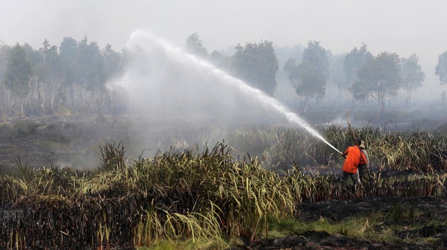 Jumlah titik api kebakaran hutan di Sumatera dan Kalimantan semakin berkurang per Jumat (18/9) dibandingkan pekan lalu. Tapi api masih menyelimuti.