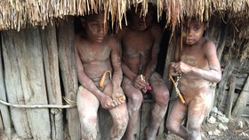 Bertanam di Area Sulit, Bukti Kejeniusan Suku Dani