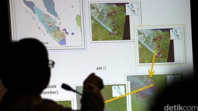 Perencanaan dan alokasi anggaran pencegahan kerusakan hutan masih sangat rendah. Sektor kehutanan pun kerap tak dijadikan prioritas oleh pemerintah daerah.
