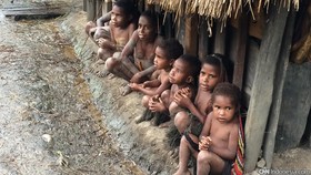 Jokowi Akui Pembangunan Papua Belum Terpadu