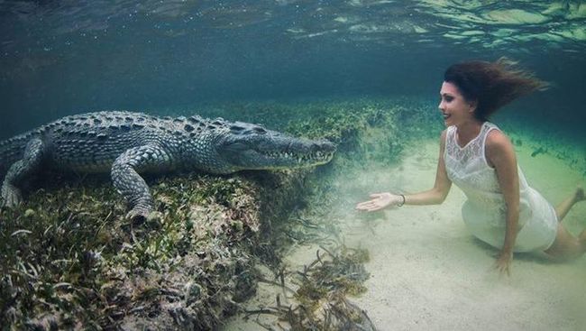 Roberta Mancino, model cantik tak kenal takut ini mencari tantangan dengan menyelam dan melakukan sesi foto dengan buaya, reptil predator yang dikenal ganas.