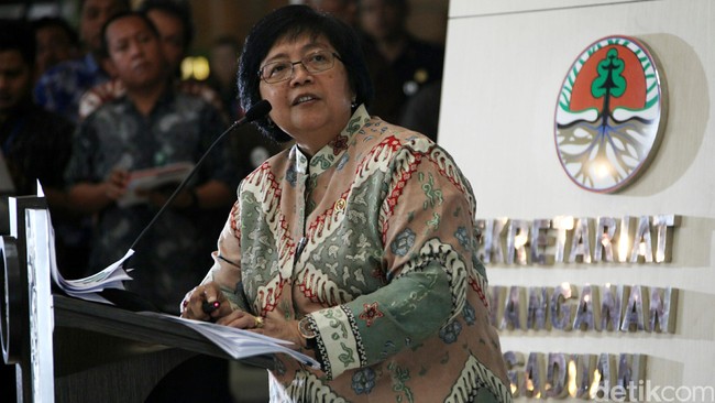 Menteri Lingkungan Hidup dan Kehutanan Siti Nurbaya mengatakan pencabutan izin akan dilakukan pekan ini atas instruksi Presiden Jokowi.