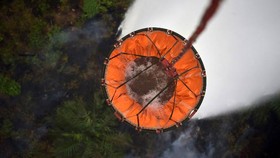 Empat Ribu Hektare Lahan di Riau Berhasil Dipadamkan