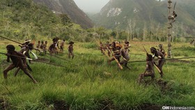 Bentrokan Antar-suku Papua Terkait Tanah Ulayat, 7 Luka-luka