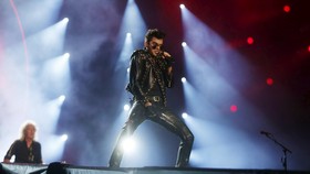 Adam Lambert Anggap Queen Tak Pengaruhi Solo Kariernya