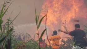 Hutan Terbakar: Izin Belasan Perusahaan Dibekukan dan Dicabut