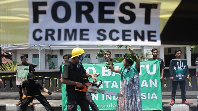 Jikalau pun ada kebijakan progresif dari pemerintah, pakar menghitung kondisi minim deforestasi baru terjadi pada 2057. Sehingga ia ragu dengan target 2030.