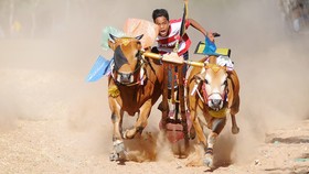 Asosiasi Animasi Dukung Promosi Pariwisata Indonesia