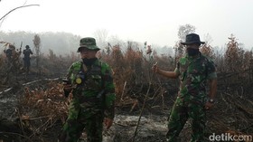 Polisi Tetapkan 205 Tersangka Pembakaran Hutan