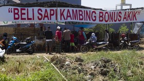 Mentan Pastikan Impor 600 Ribu Sapi Bakalan Tahun Ini