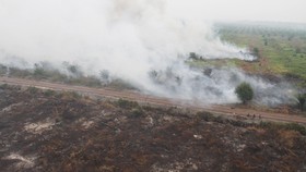 Kebakaran Hutan, KLHK Segel Area Milik 5 Perusahaan di Kalbar