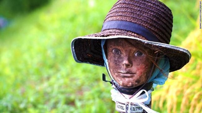 Ketika diterpa cahaya mobil, kepala-kepala ini tampak seperti zombi mengambang di kegelapan yang sangat mengerikan.