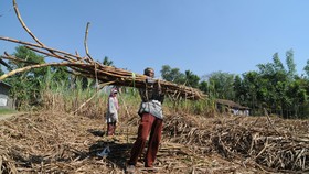 Menperin Usulkan Industri yang Layak Dibantu Duit Tax Amnesty