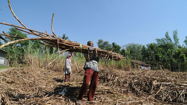 Tim juru sita Pengadilan Negeri Simalungun mengeksekusi lahan PTPN IV seluas 96,47 ha yang selama ini digarap oleh sekelompok orang.