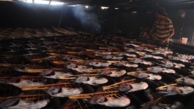 Pemerintah Bangun Sentra Lumbung Ikan Rp5 Triliun Lewat KPBU