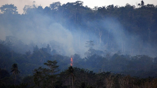 BNPB menyebut pemadaman sulit dilakukan karena medan yang sulit dan kurangnya air.