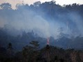 Teten Minta Singapura Pahami Kesulitan RI Padamkan Titik Api