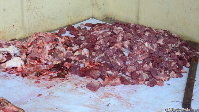 Sebanyak tujuh dari puluhan orang kritis dan harus dirujuk ke rumah sakit usai menyantap satai daging kurban. Diduga mereka keracunan bumbu satai.