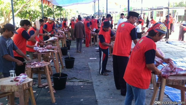 Hewan kurban ini sumbangan para jamaah pondok pesantren yang ada di Singapura.