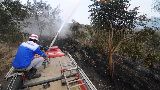 Pembentukan kanal bersekat difokuskan di dua daerah, yaitu Kalimantan Selatan dan Kalimantan Tengah.
