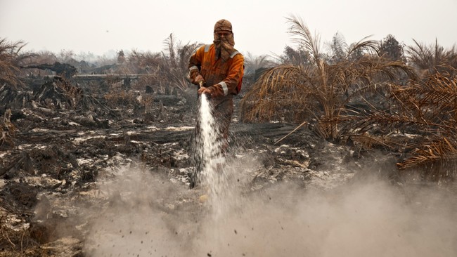 Gapki mempertanyakan pasal 69 UU Lingkungan Hidup yang mengizinkan petani membakar lahan untuk keperluan bercocok tanam.