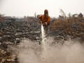 Izin Perusahaan Kelapa Sawit Pembakar Kebun Bakal Dicabut