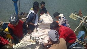 Delapan Tewas dalam Tabrakan Kapal di Perairan Kendal
