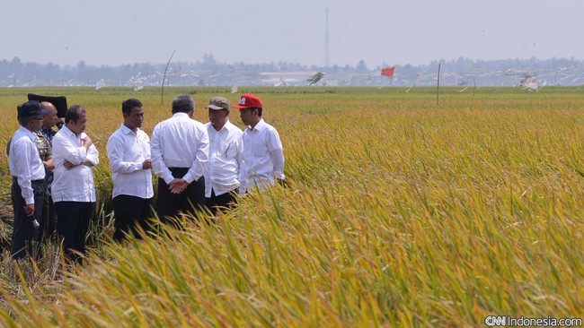 Kementerian Keuangan mencatat masih terdapat 109 Kabupaten/Kota masih belum menyalurkan seluruh dana desa ke rekening kas desa.