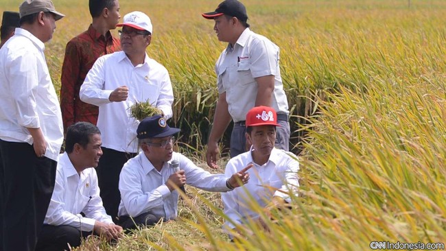 Bersama sejumlah menteri, Presiden Joko Widodo (Jokowi) dijadwalkan bakal melakukan Operasi Pasar Bulog secara serentak, hari ini.