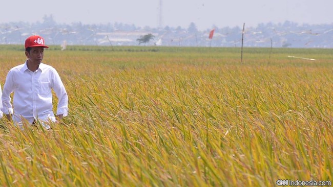 Presiden Jokowi menyempatkan diri berdialog dengan para petani. Ia menerima sejumlah keluhan dari para petani mulai dari ketersediaan pupuk dan alat produksi.