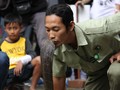 Mengenal Ciri-ciri Ular Berbisa