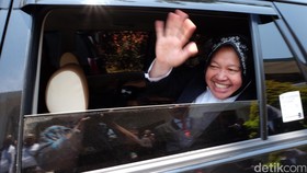 Menteri Tjahjo: Pembocor Kabar Risma Tersangka Harus Diganti