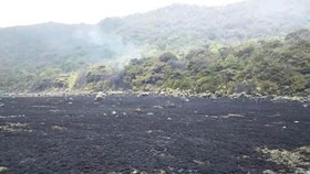 Kawasan Gunung Gede-Pangrango Terbakar