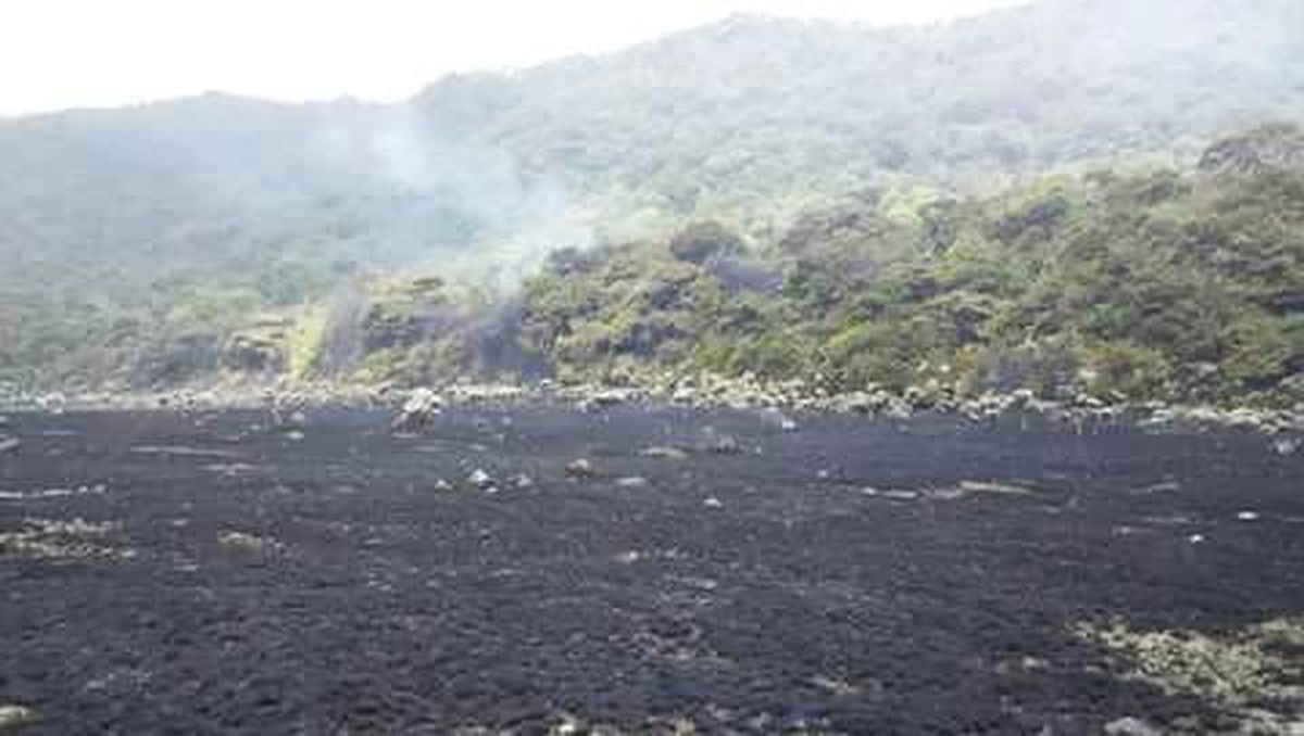 Karhutla di Alun-alun Suryakancana Gunung Gede Pangrango